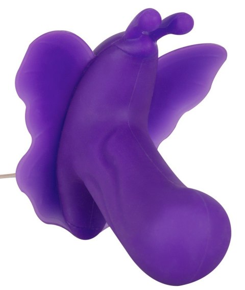 SEX MASAŻER MASAŻER ŁECHTACZKI MAJTECZKI MOTYLEK