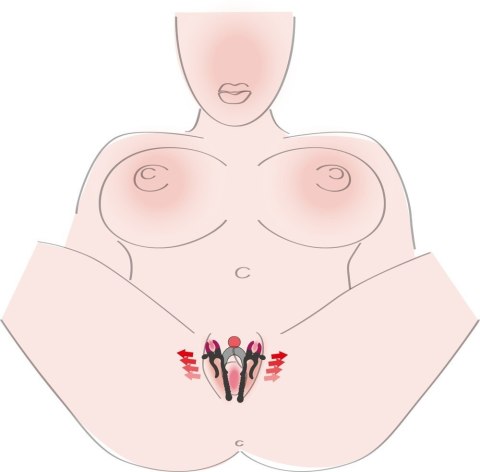 STYMULATOR WARG SROMOWYCH G-SPOT ROZWIERACZ WARG STYMULATOR WARG SROMOWYCH G-SPOT ROZWIERACZ WARG