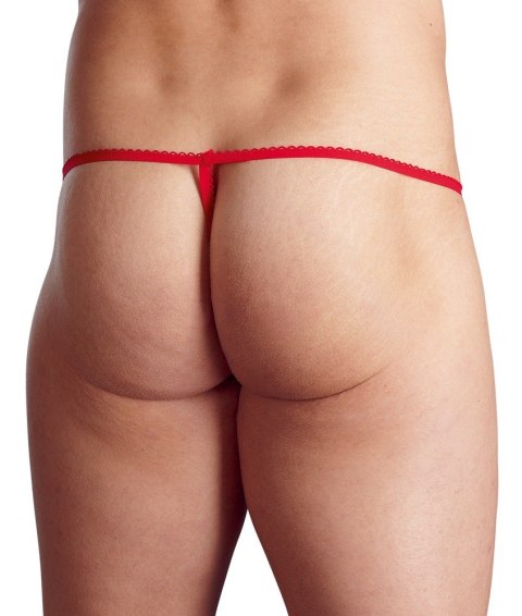 Stringi S-L Stringi S-L