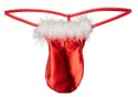 Stringi S-L