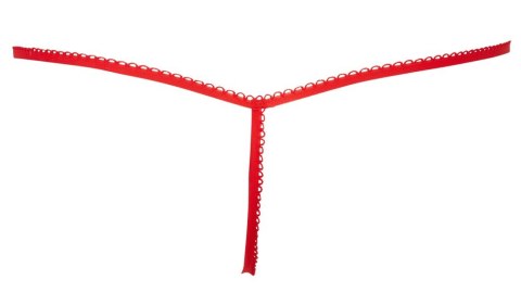 Stringi S-L Stringi S-L