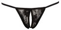 Stringi S-L