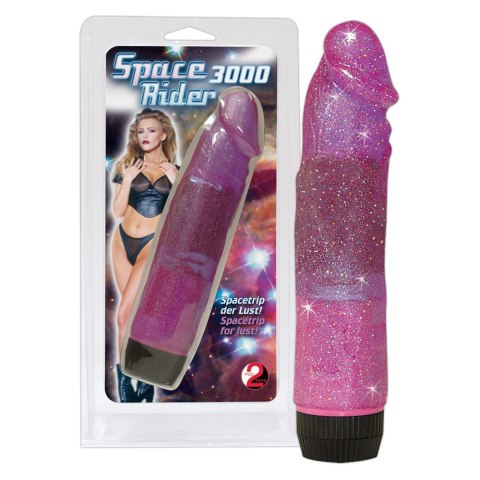 Space Rider 3000