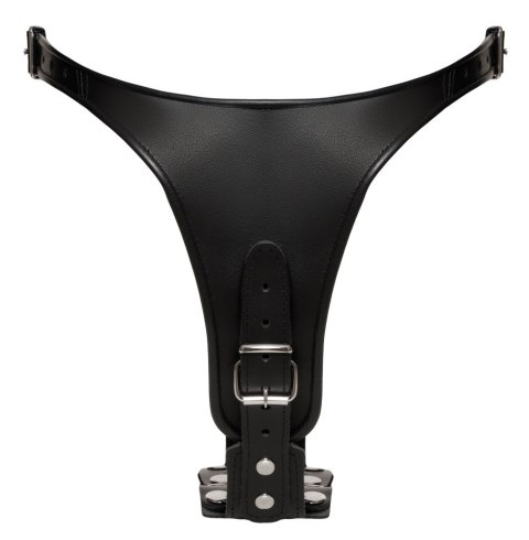 Leather Briefs 2 Dildos S/M