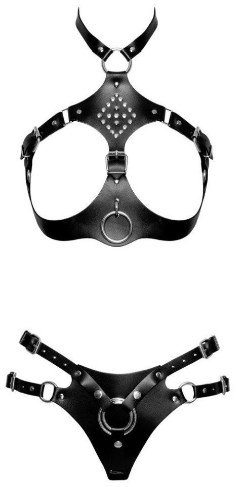Leather Harness Set 2XL Leather Harness Set 2XL