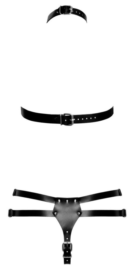 Leather Harness Set 2XL Leather Harness Set 2XL