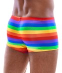 Men's Boxer Briefs Rainbow 2XL