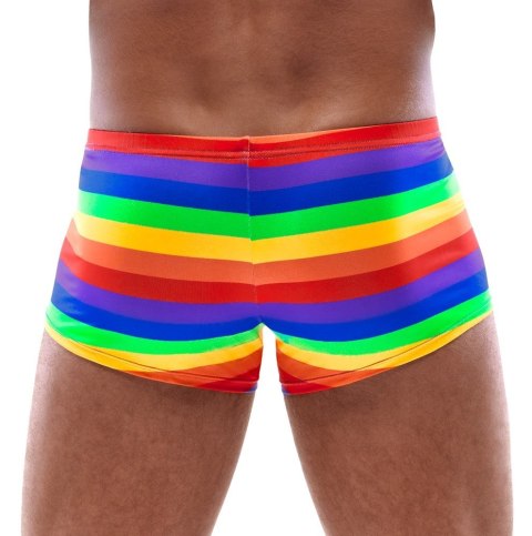 Men's Boxer Briefs Rainbow 2XL
