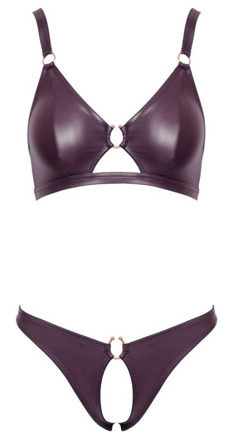 Bra and Briefs purple L