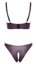Bra and Briefs purple L