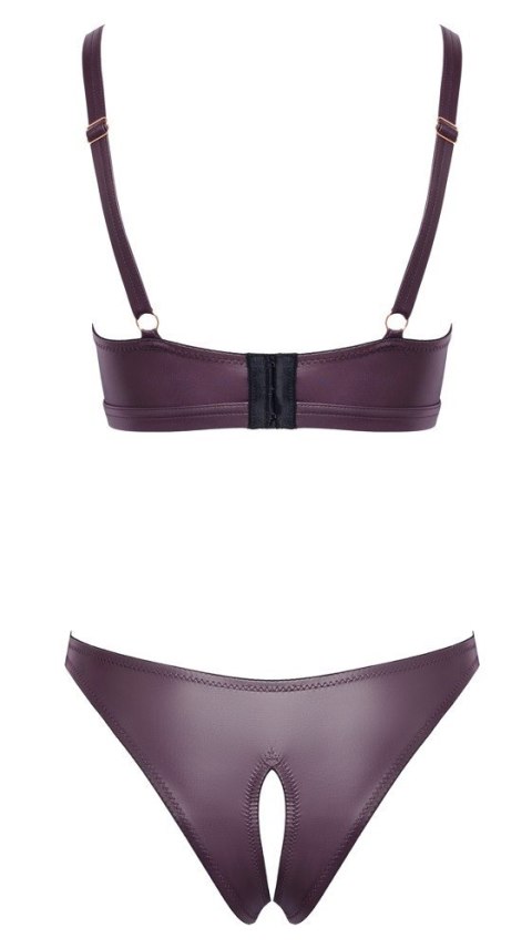 Bra and Briefs purple XL