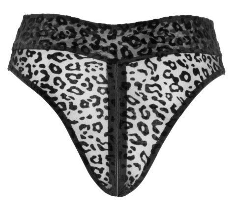 Noir Panty leo M