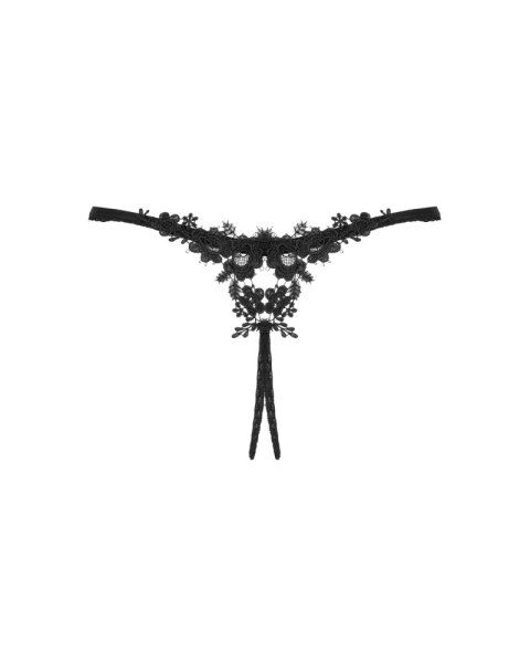 OBS Thong XS/S