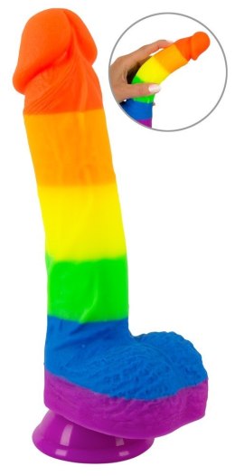 PRIDE! Silicone Dildo