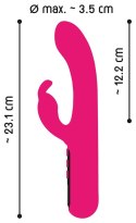Display Rabbit