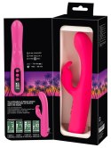 Display Rabbit