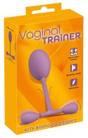 Vaginal trainer with bouncing