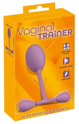 Vaginal trainer with bouncing