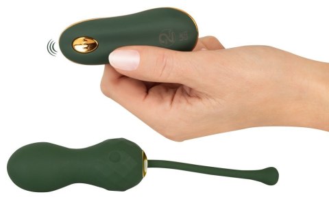 Luxurious Love Egg RC