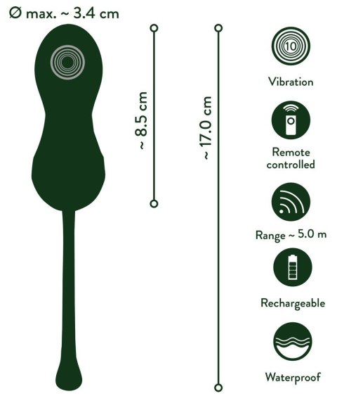 Luxurious Love Egg RC