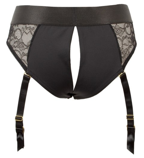 Your Strap-On Briefs & Dildo