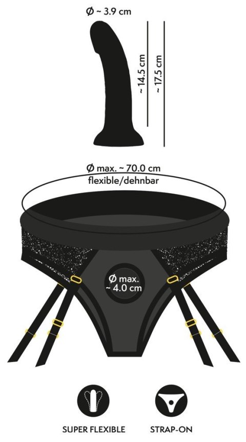 Your Strap-On Briefs & Dildo