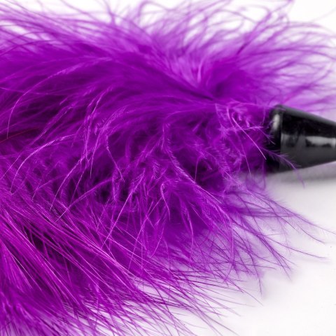 Piórko Erotyczne Fioletowe