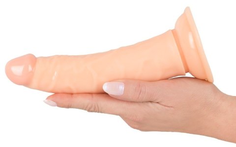 DILDO SZTUCZNY PENIS PRZYSSAWKA REAL CZŁONEK 18 CM DILDO SZTUCZNY PENIS PRZYSSAWKA REAL CZŁONEK 18 CM