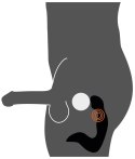 MASAŻER PROSTATY REBEL 14,3 CM WIBRATOR STYMULATOR