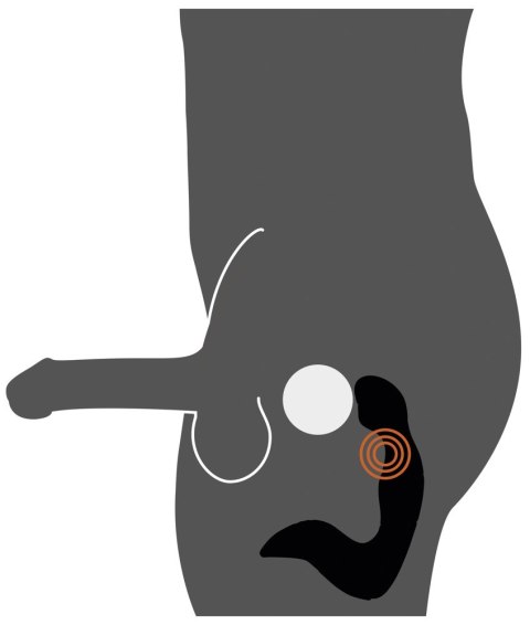 MASAŻER PROSTATY REBEL 14,3 CM WIBRATOR STYMULATOR MASAŻER PROSTATY REBEL 14,3 CM WIBRATOR STYMULATOR