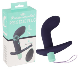 MASAŻER PROSTATY 10 FUNKCJI WIBRACJI 13,4 CM CICHY