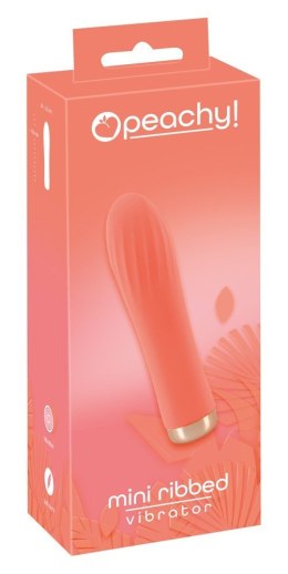 WIBRATOR CICHY STYMULUJE 10FUNKCJI WIBRACJI 13,6CM