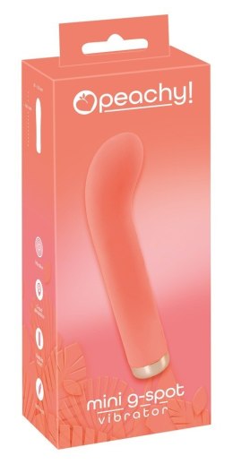 WIBRATOR CICHY STYMULUJE 10FUNKCJI WIBRACJI 16,5CM