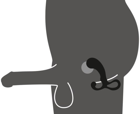 ZESTAW MASAŻER PROSTATY 3 SZT REBEL RÓŻNE ROZMIARY ZESTAW MASAŻER PROSTATY 3 SZT REBEL RÓŻNE ROZMIARY