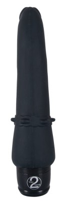 VIBRA LOTUS ANAL