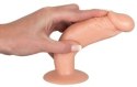ZESTAW ANAL TRAINING SET