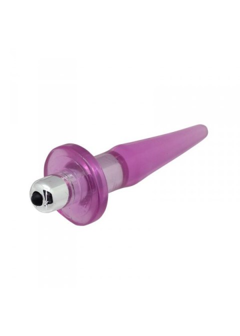 PLUG/VIBR-ANAL PLUG W/ ON/OFF VIBE PLUG/VIBR-ANAL PLUG W/ ON/OFF VIBE