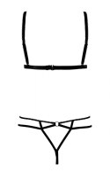 BIELIZNA-ALCYONE S