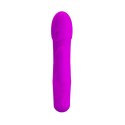 PRETTY LOVE - ANSEL USB PURPLE 7 FUNCTION