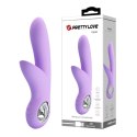 PRETTY LOVE - CAROL USB VIOLET 7 FUNCTION