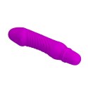 PRETTY LOVE - STEV, PURPLE 10 FUNCTION