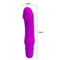 PRETTY LOVE - STEV, PURPLE 10 FUNCTION