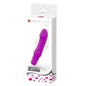 PRETTY LOVE - STEV, PURPLE 10 FUNCTION