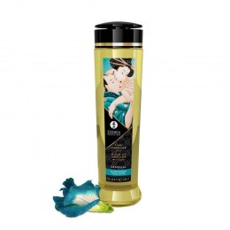Olejek-SHUNGA MASSAGE OIL Island Blossoms 240ml